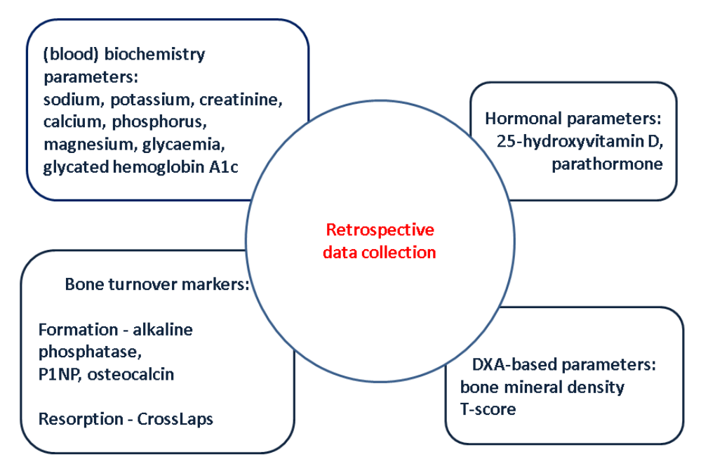 Study parameters according to the mentioned methods, organised into blood biochemistry parameters, hormonal parameters, bone turnover markers and DXA-based parameters