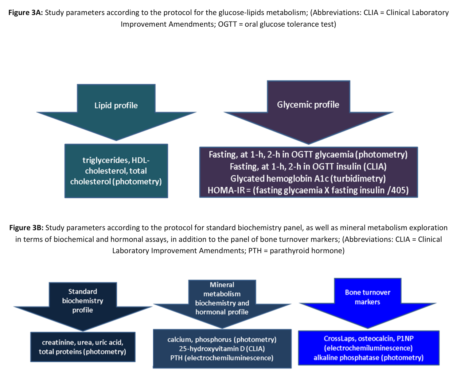 Study parameters according to the protocol for the glucose-lipids metabolism (3A) and for the standard biochemistry, mineral metabolism, and bone turnover marker panels (3B)