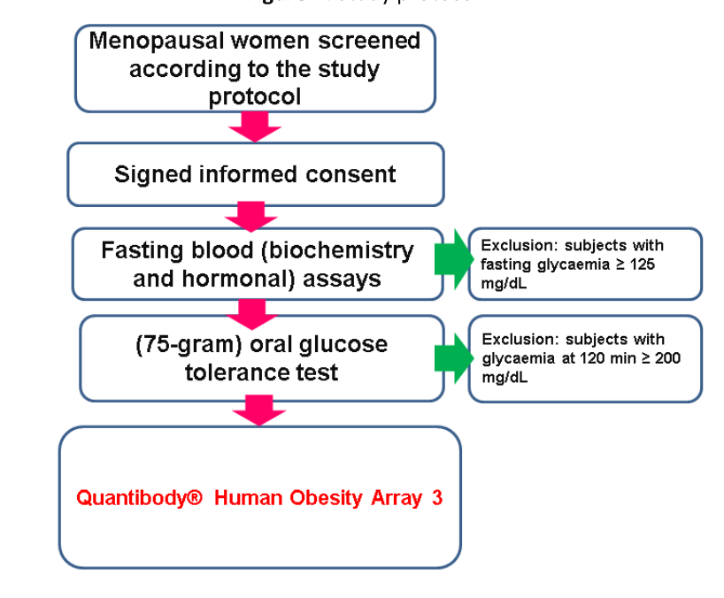 Flowchart of the study protocol: menopausal women screened according to the study protocol, signed informed consent, fasting blood biochemistry and hormonal assays with exclusion of subjects with fasting glycaemia above 125 mg/dL, 75-gram oral glucose tolerance test with exclusion of subjects with glycaemia at 120 minutes of 200 mg/dL or above, leading to testing with Quantibody Human Obesity Array 3