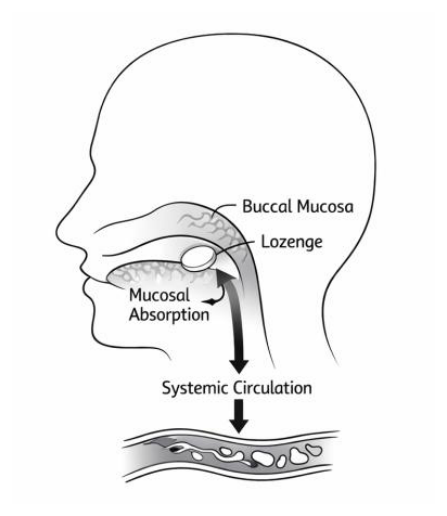 Diagram of a head in profile showing a lozenge held against the buccal mucosa, with an arrow indicating mucosal absorption into systemic circulation via a blood vessel