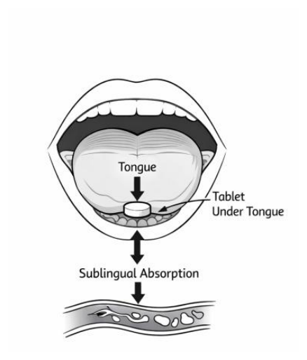 Diagram of an open mouth showing a tablet placed under the tongue, with an arrow indicating sublingual absorption into a blood vessel below