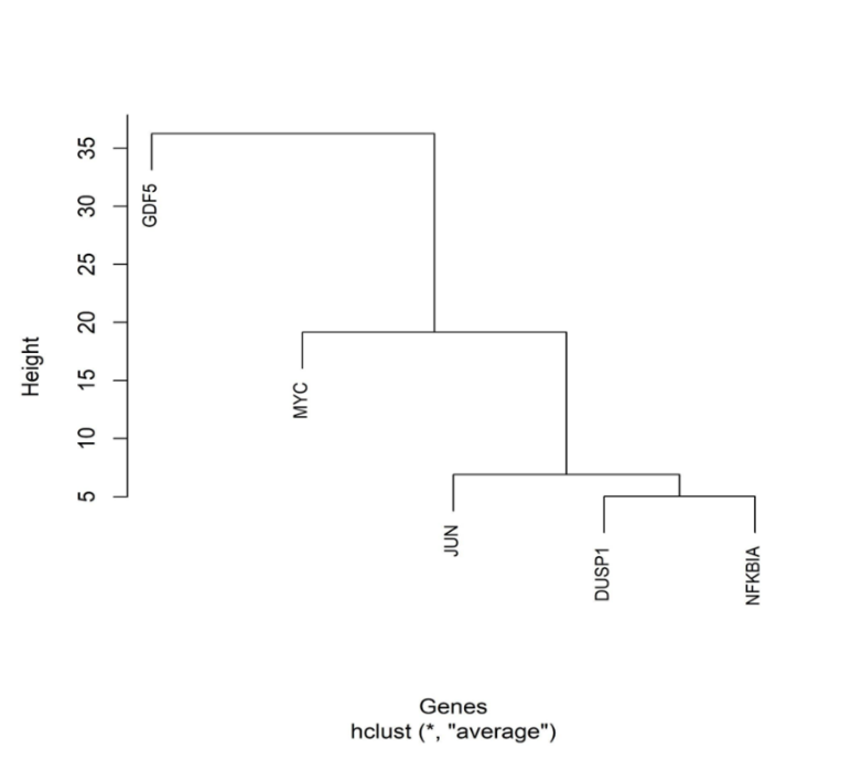 Hierarchical clustering dendrogram for the genes of interest