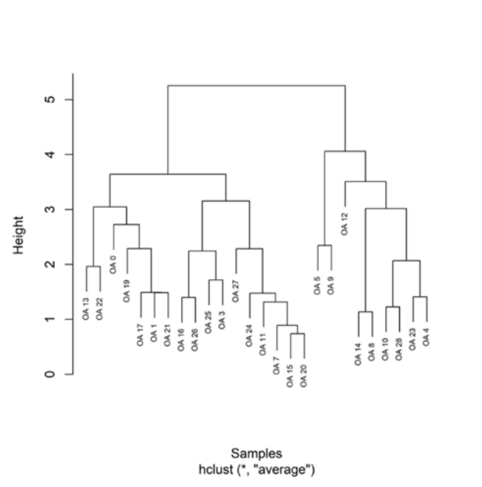 Hierarchical clustering dendrogram for patient samples