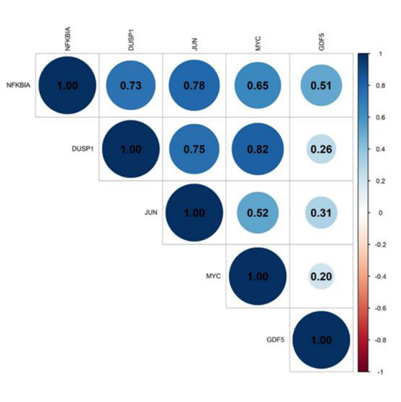 Correlation plot