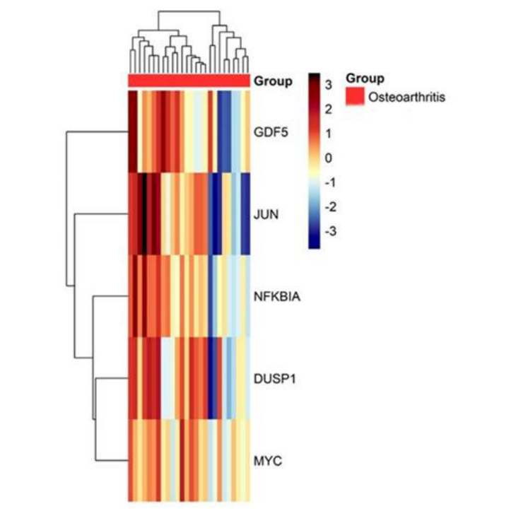 Heatmap of Gene Expression