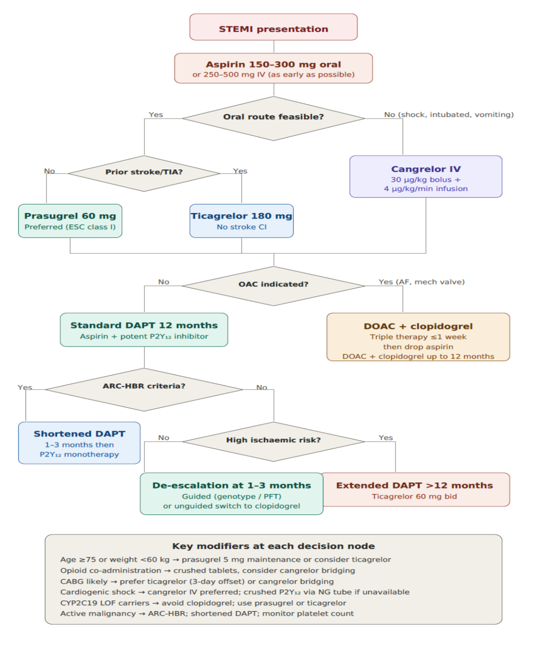Flowchart of the STEMI antiplatelet decision algorithm, from aspirin loading through P2Y12 inhibitor selection, oral anticoagulation status, and DAPT duration strategy, with key modifiers listed at each decision node