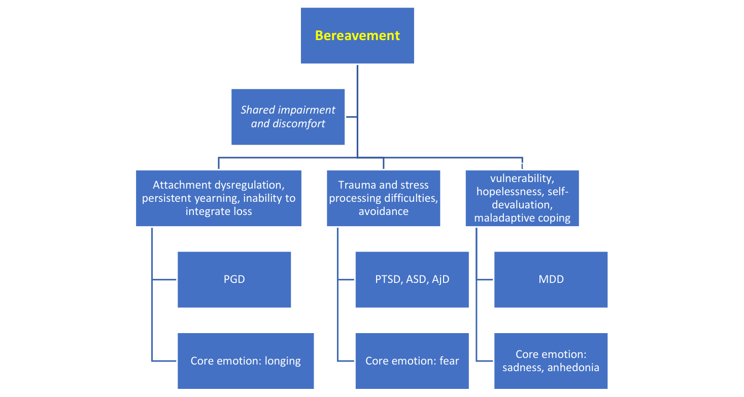 Diagramă arborescentă care pornește de la Bereavement și se ramifică în trei domenii de vulnerabilitate comună: atașament dereglat și PGD (emoție centrală: dor), procesare a traumei și a stresului cu PTSD, ASD, AjD (emoție centrală: frică) și vulnerabilitate cognitivă cu MDD (emoții centrale: tristețe, anhedonie)