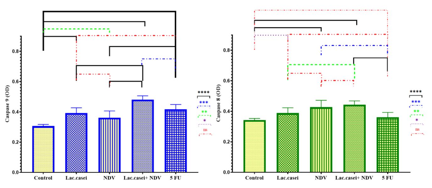 Bar charts of caspase 9 and caspase 8 optical density values across control, Lactobacillus casei, Newcastle disease virus, combined treatment, and 5-fluorouracil groups