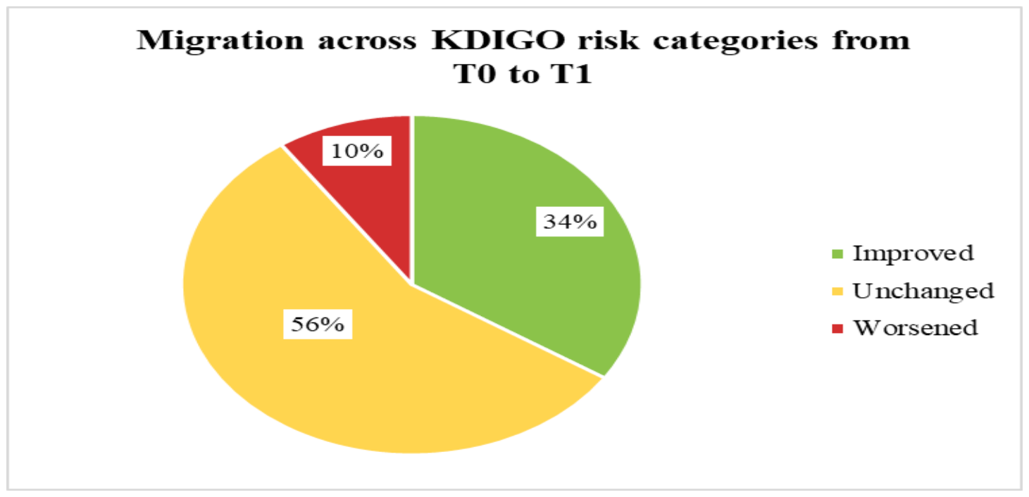 Pie chart showing migration across KDIGO risk categories from T0 to T1: 34% improved, 56% unchanged, 10% worsened