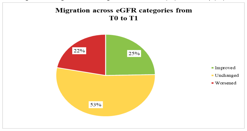 Pie chart showing migration across eGFR categories from T0 to T1: 25% improved, 53% unchanged, 22% worsened