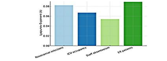 Bar chart of Lyapunov exponent values for nosocomial infections, ICU occupancy, staff absenteeism, and ER patients