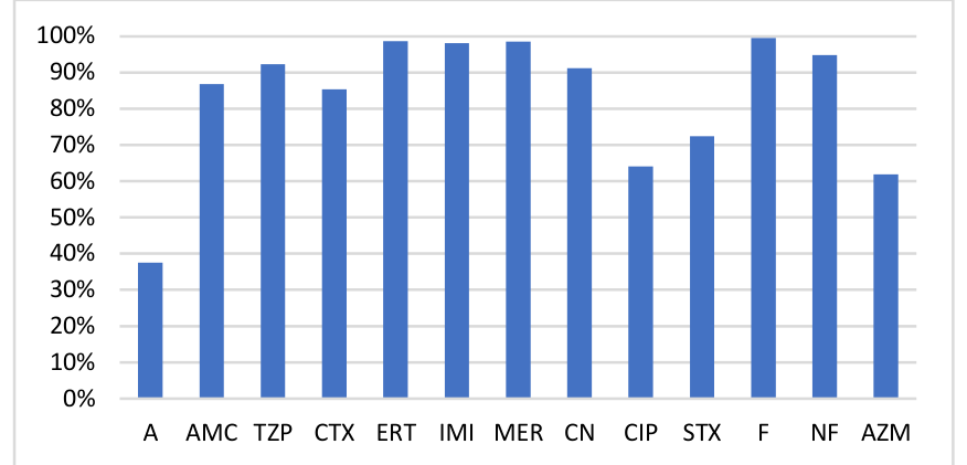 Antibiotic Susceptibility Profile of E. coli (N=479)