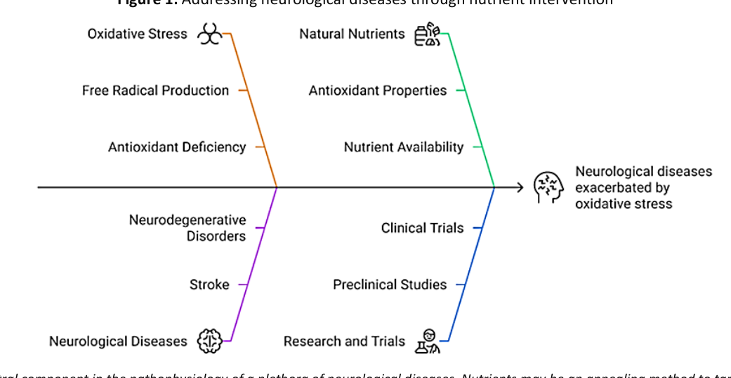 Fishbone diagram linking oxidative stress, free radical production, and antioxidant deficiency in neurodegenerative disorders and stroke to natural nutrients, antioxidant properties, nutrient availability, and clinical, preclinical, and research trials, converging on neurological diseases exacerbated by oxidative stress