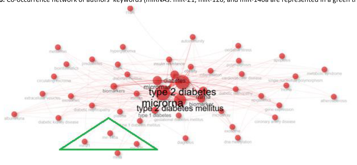 Network diagram of co-occurring authors' keywords centered on diabetes, type 2 diabetes and microRNA, with miR-21, miR-126 and miR-146a highlighted in a green triangle.
