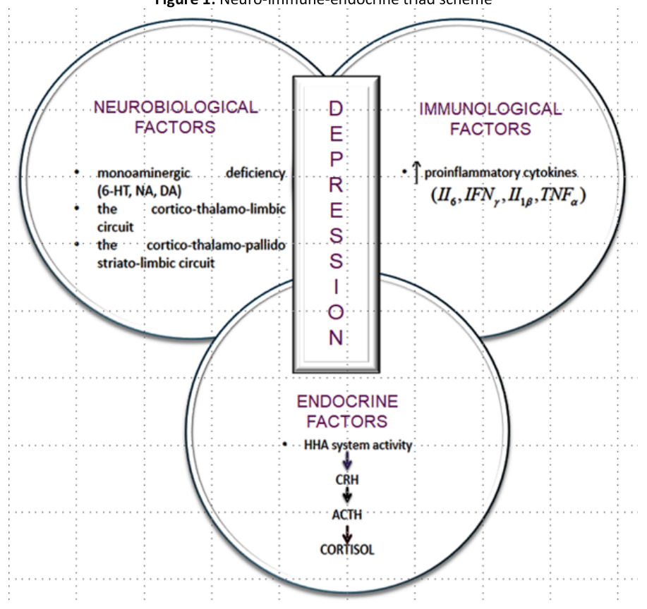 Neuro-immune-endocrine triad scheme showing neurobiological, immunological, and endocrine factors converging on depression